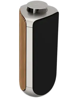 Alternative view of Тонколона Beolab 50 Speaker (Primary) Silver