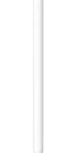 Apple Pencil 1st generation