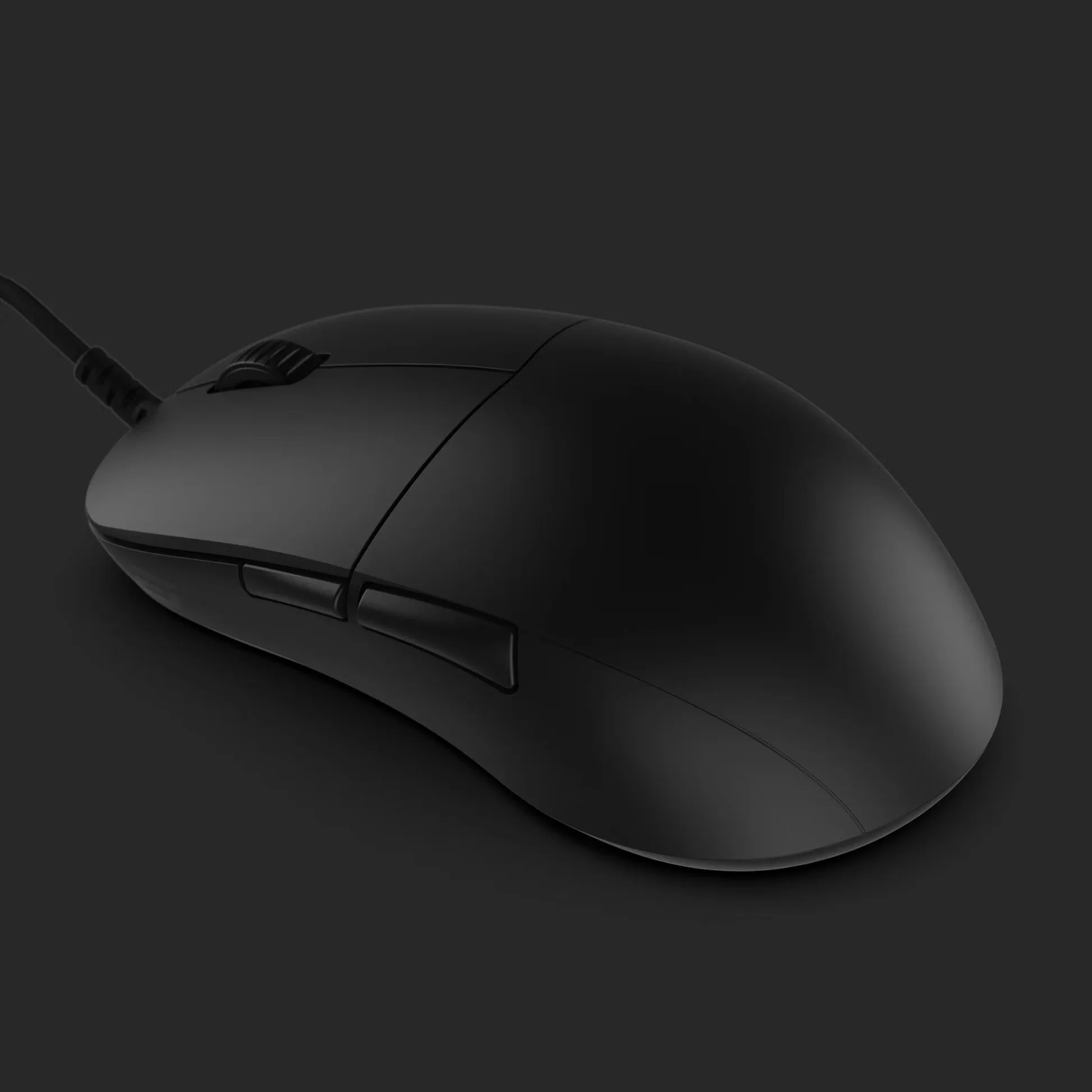 Endgame Gear професионална геймърска мишка XM2 8K - Gaming Mouse - Black - Image 260