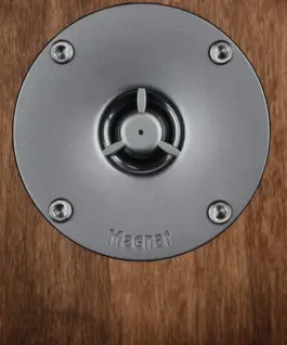 Alternative view of Magnat Speaker монитор S10 D walnut (2pcs)