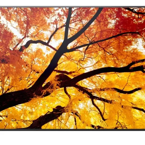 Sharp Monitor MultiSync M502 50 inches 550cd/m2 24/7