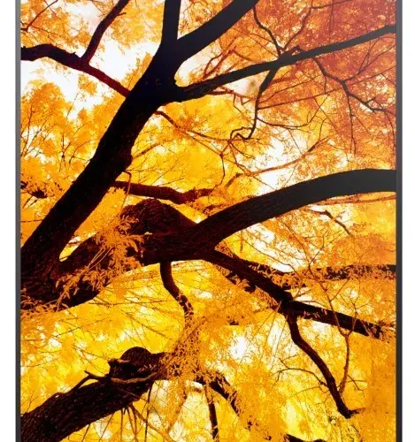 Alternative view of Sharp Monitor MultiSync M502 50 inches 550cd/m2 24/7