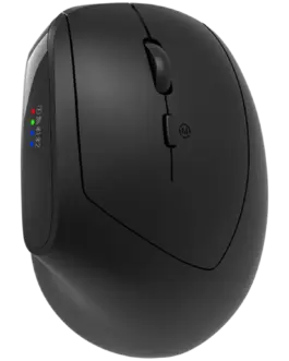 Безжична мишка CANYON mouse MW-25 Ergonomic LED AA Dual mode Wireless Black