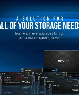 PNY SSD 512GB M.2 2280 BULK M280CS2241-512-BLK