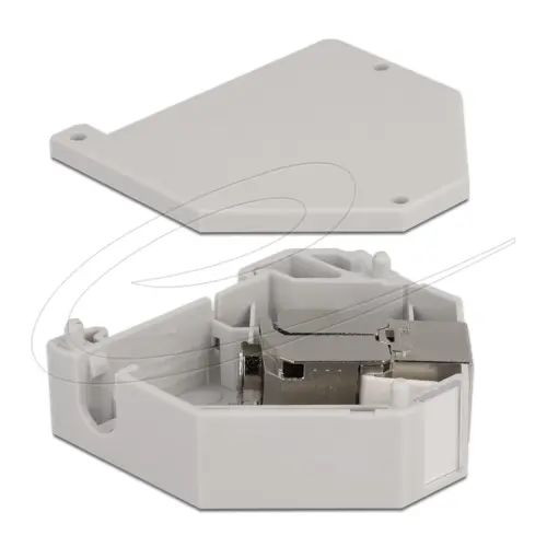 Alternative view of Delock DIN-рейков Адаптер с Keystone Модул RJ45 Cat.6A LSA