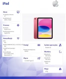 Apple IPAD WIFI 256GB PNK