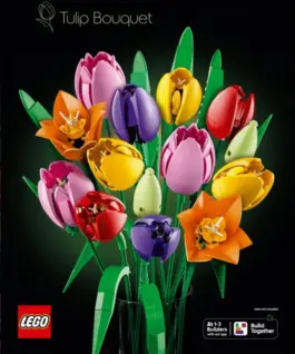 LEGO Blocks Botanicals 11501 Tulip Bouquet