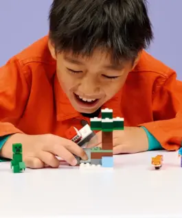 LEGO Blocks Minecraft 21583 Steves Taiga Adventure