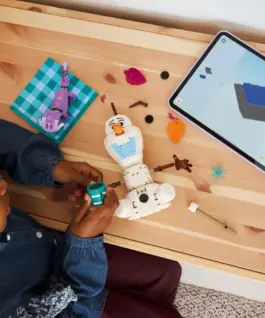 Alternative view of LEGO Blocks Disney 43287 Olaf and Brunis Picnic Fun