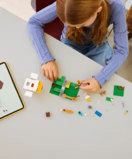 Alternative view of LEGO Blocks Minecraft 21585 Chicken Farm