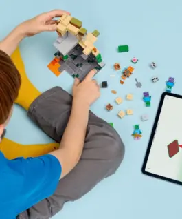 Alternative view of LEGO Blocks Minecraft 21587 Zombie Dungeon