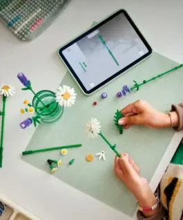 Alternative view of LEGO Blocks Botanicals 11508 Daisies