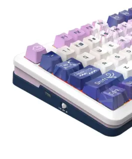 Механична Bluetooth и безжична геймърска клавиатура Redragon Cyrus Pro Anime K681ACG-RGB-PRO с RGB осветление –