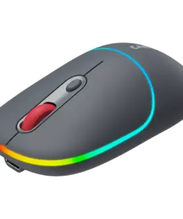 Безжична мишка CANYON mouse MW-22 2in1 BT/ Wireless Dark Grey