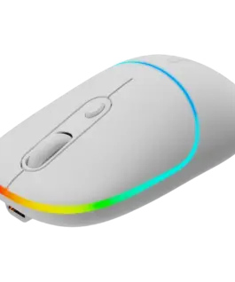 Безжична мишка CANYON mouse MW-22 2in1 BT/ Wireless Snow White