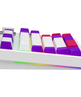 Геймърска клавиатура LORGAR KBP70TKLW