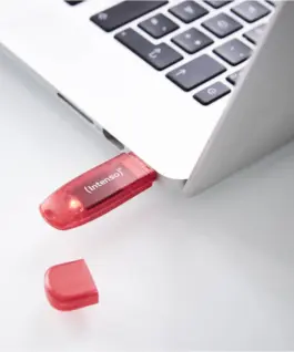 ФЛАШ ПАМЕТ Intenso USB flash drive Rainbow Line – USB 2.0 – 128 GB – Red – PN