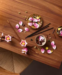 LEGO Bricks Botanicals 11510 Magnolia branches