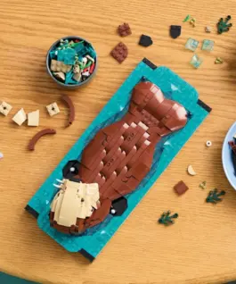 LEGO Bricks Ideas 21366 Swimming Otters