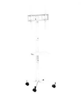 Gembird TV floor stand with caster wheels 32-55-inch