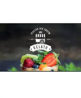 Hisense Monitor 55WH80F 55 inches 4K ADS Window Facing 24/7