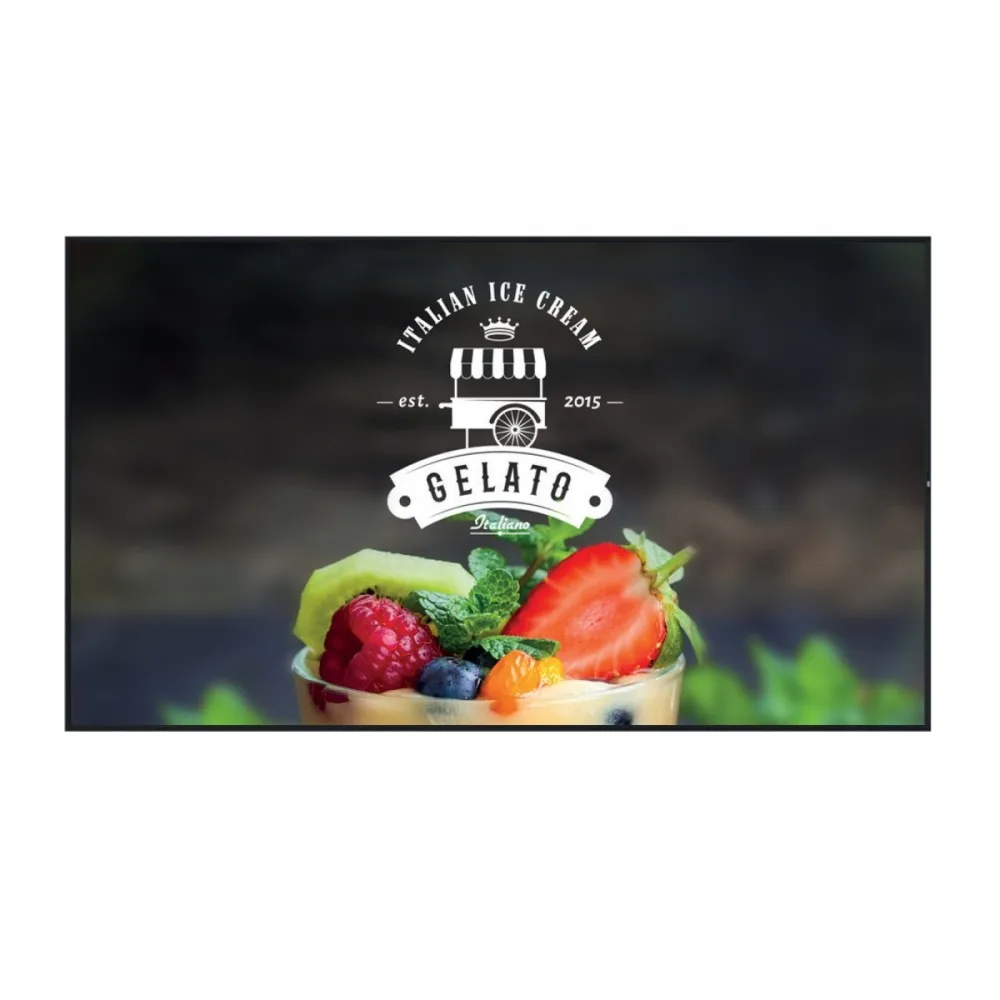 Hisense Monitor 55WH80F 55 inches 4K ADS Window Facing 24/7