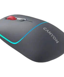 Безжична мишка CANYON mouse MW-22 2in1 BT/ Wireless Dark Grey