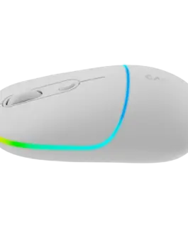Безжична мишка CANYON mouse MW-22 2in1 BT/ Wireless Snow White