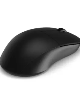 Endgame Gear професионална геймърска мишка XM2w 4K v2 – Wireless Gaming Mouse –