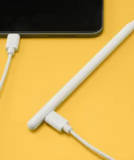 HAMA Писалка /стилус/ за таблет Apple iPad