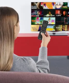 HAMA Дистанционно управление за TV + Netflix