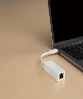 Мрежова карта D-Link DUB-E130 USB - C - LAN 10/100/1000