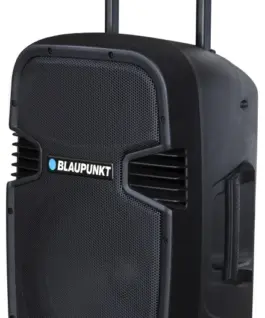 Alternative view of Blaupunkt Audio system PA12 PLL Karaoke