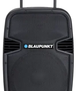 Blaupunkt Audio system PA15 PLL Karaoke