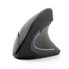 Gembird Wireless optical мишка 6-buttons Nano черен