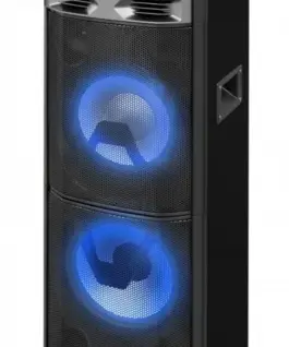 Blaupunkt Party Speaker with Bluetooth and Karaoke PS11DB