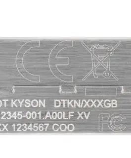 Kingston Pendrive Kyson DTKN/256 USB 3.2 Gen1
