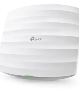 Alternative view of TP-LINK Access Point N300 PoE EAP115