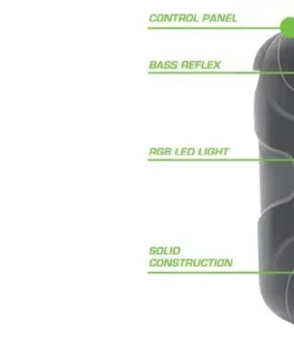 Rebeltec Bluetooth speaker Rebelt ec STAGE 300