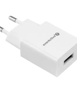 Alternative view of everActive зарядно 1XUSB SC100 1A