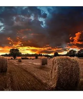 Samsung Professional монитор VM55B-U 55 inch Video Wall Mat 24h/7 500(cd/m2) 1920 x 1080(FHD) N/A 3 years On-Site