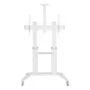Techly Mobile stand for a TV 70-120 inches 140 kg or an interactive board