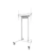 Neomounts Floor stand FL55-875WH1 55-100cali 110kg 100x100-800x600 h:111-176cm PILOT