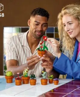 LEGO LEGO Botanicals 10329 Small plants