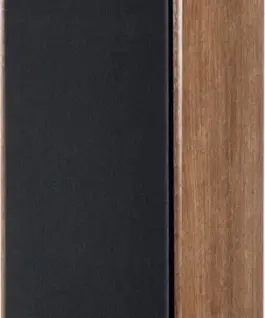 Magnat Speaker монитор S70 walnut