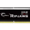 G.SKILL G.SKILL Ripjaws SO-DIMM DDR5 4800MHz CL40