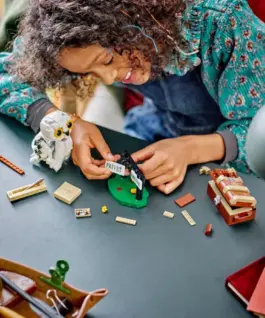 LEGO LEGO Harry Potter 76425 Hedwig at 4 Privet Drive