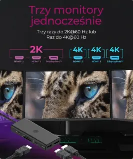 IcyBox ICY BOX IB-DK4011-CPD 9in1