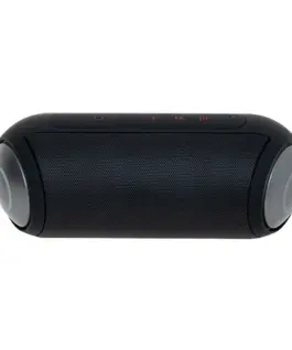 Camry Wireless Bluetooth speaker CR1901
