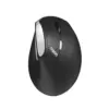 RAPOO EV250 ergonomic мишка черен